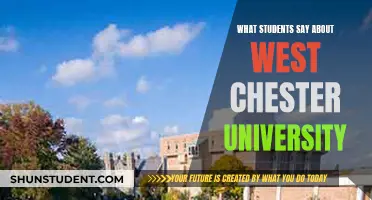 Westchester University: Student Reviews and Insights