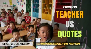 Lessons from Learners: What Students Teach Us Through Quotes