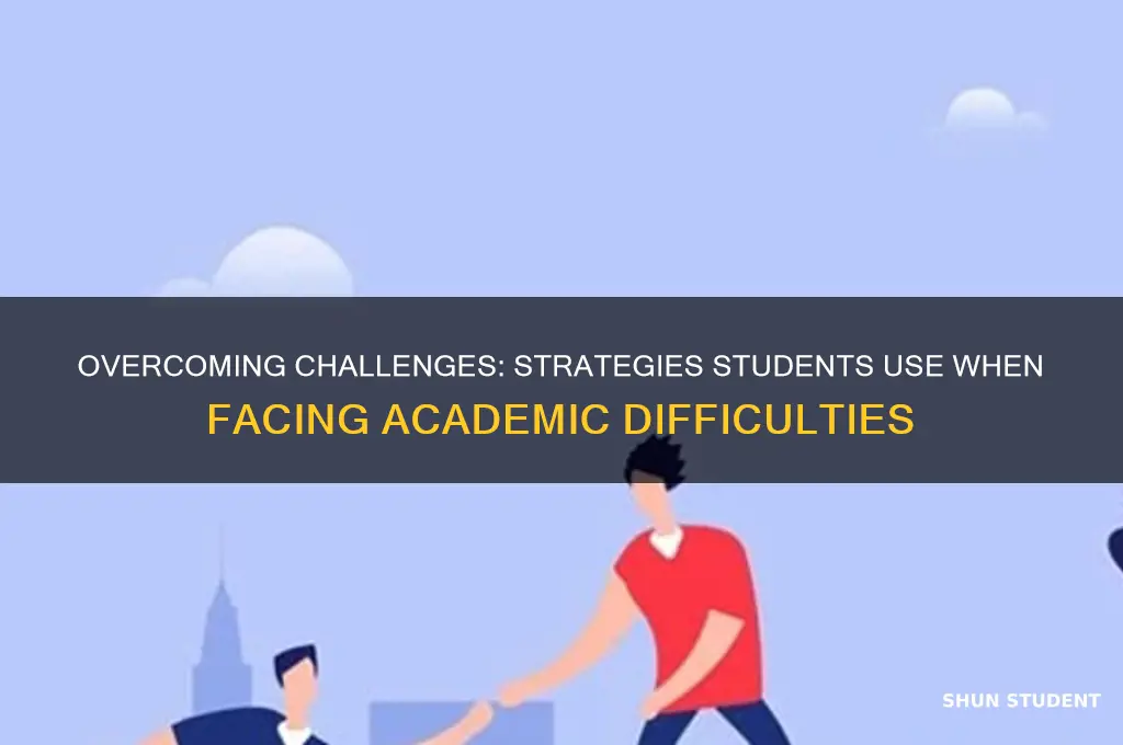 what students will do when they find difficulties