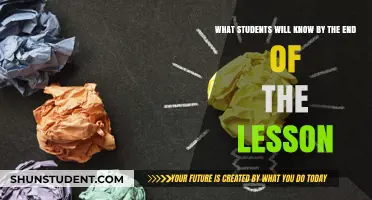 Mastering Key Concepts: What Students Learn by Lesson's End