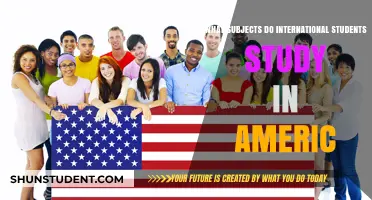 International Students: Popular US Degree Choices