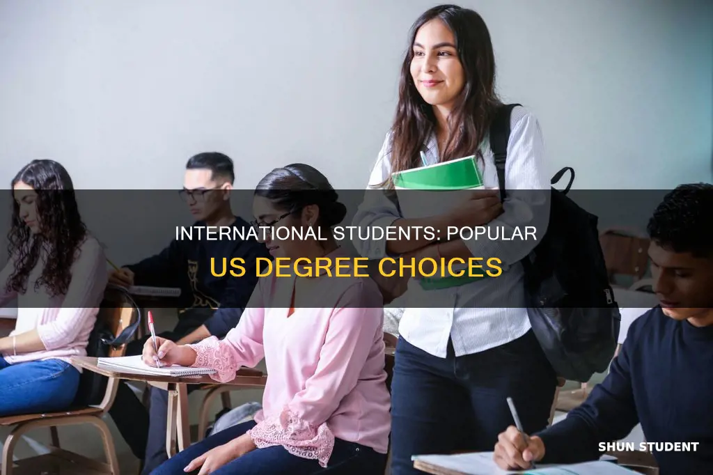 what subjects do international students study in americ