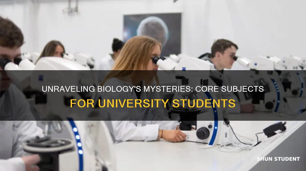 what subjects does a biology students study in university