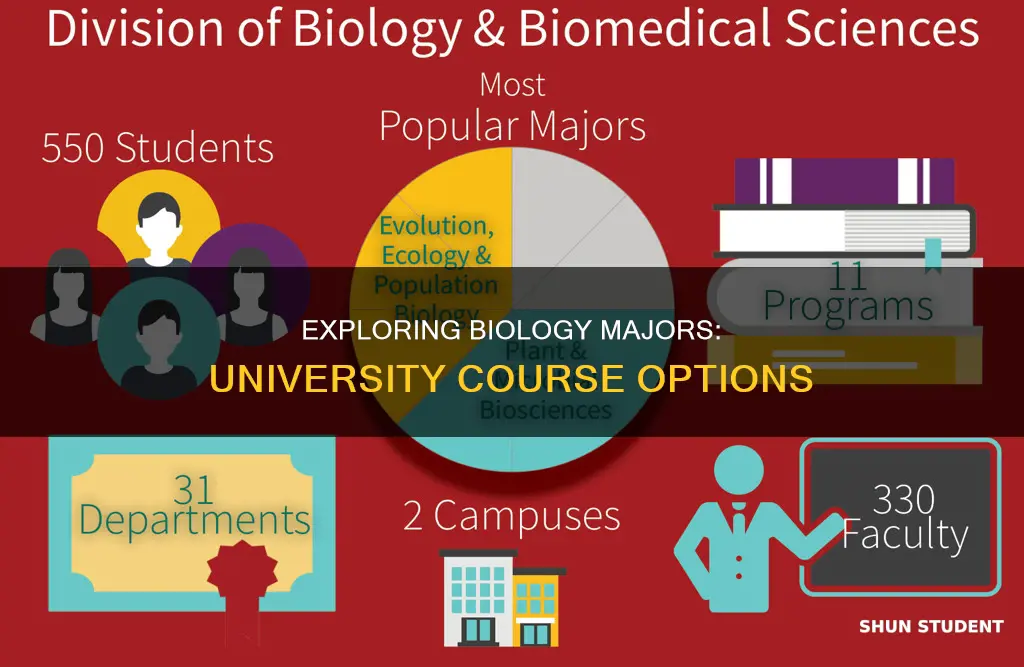 what subjects does a biology students study in university