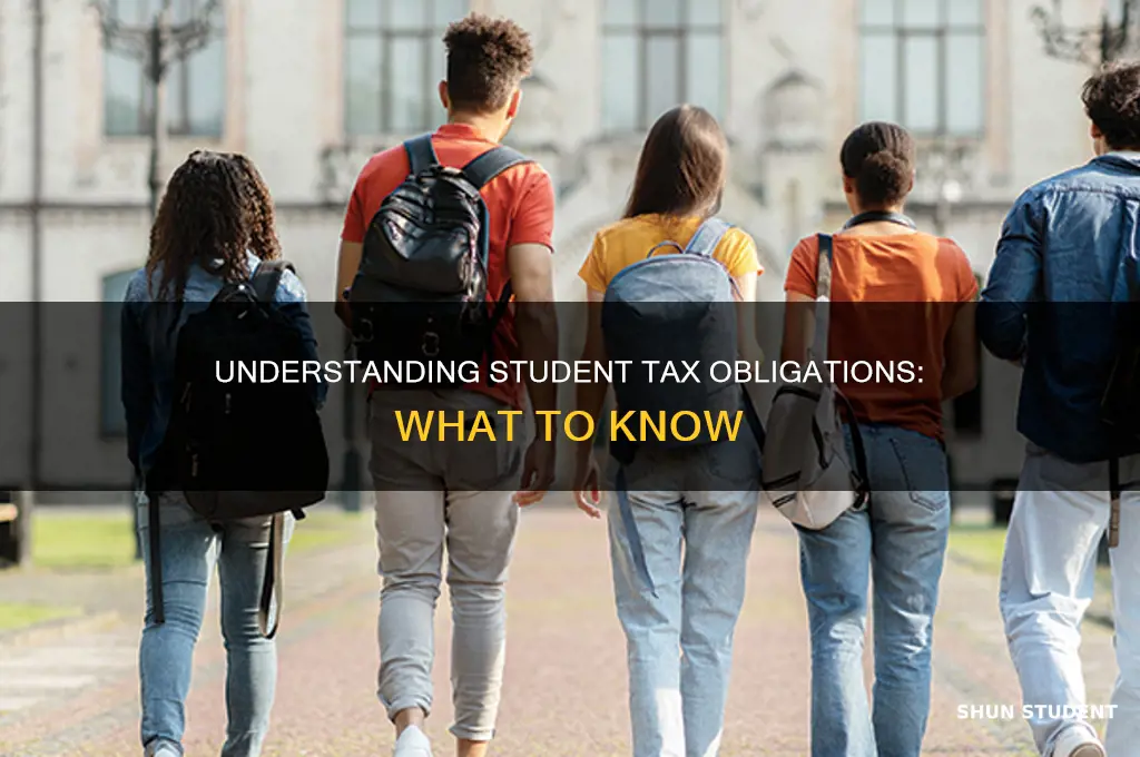 what tax do students pay