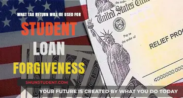 Student Loan Forgiveness: Which Tax Return is Required for Approval?