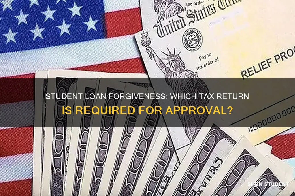 what tax return will be used for student loan forgiveness