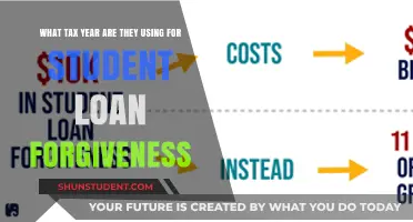 Understanding the Tax Year for Student Loan Forgiveness Programs