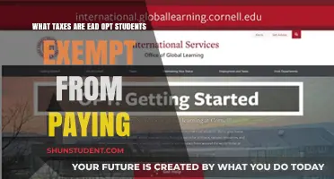 OPT Students: Understanding Your Tax Exemptions