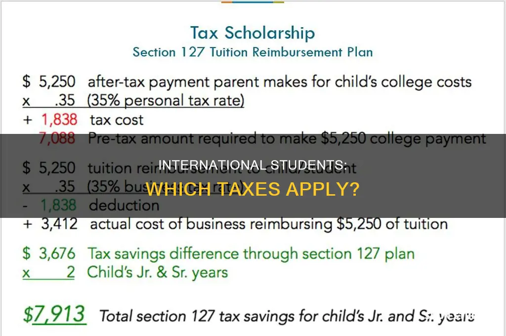 what taxes do international students pay