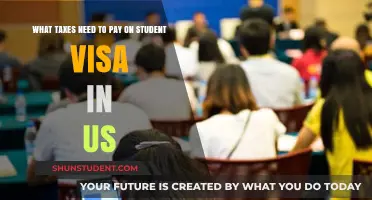 Understanding US Taxes: A Guide for International Students