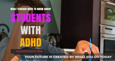 Understanding ADHD: Essential Insights for Teachers to Support Students
