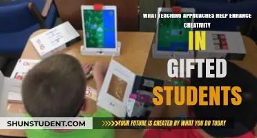 Fostering Creative Brilliance: Innovative Teaching Strategies for Gifted Learners