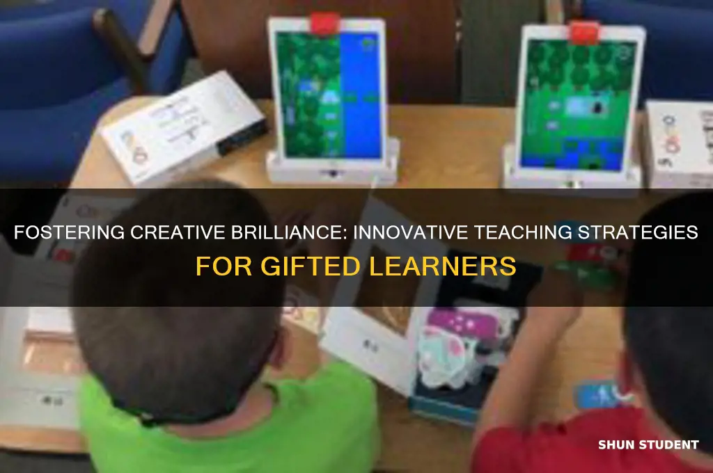 what teaching approaches help enhance creativity in gifted students