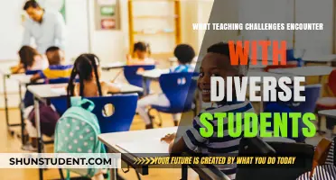 Navigating Diverse Classrooms: Overcoming Teaching Challenges with Varied Learners