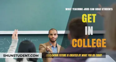 Exploring College Teaching Opportunities for Graduate Students