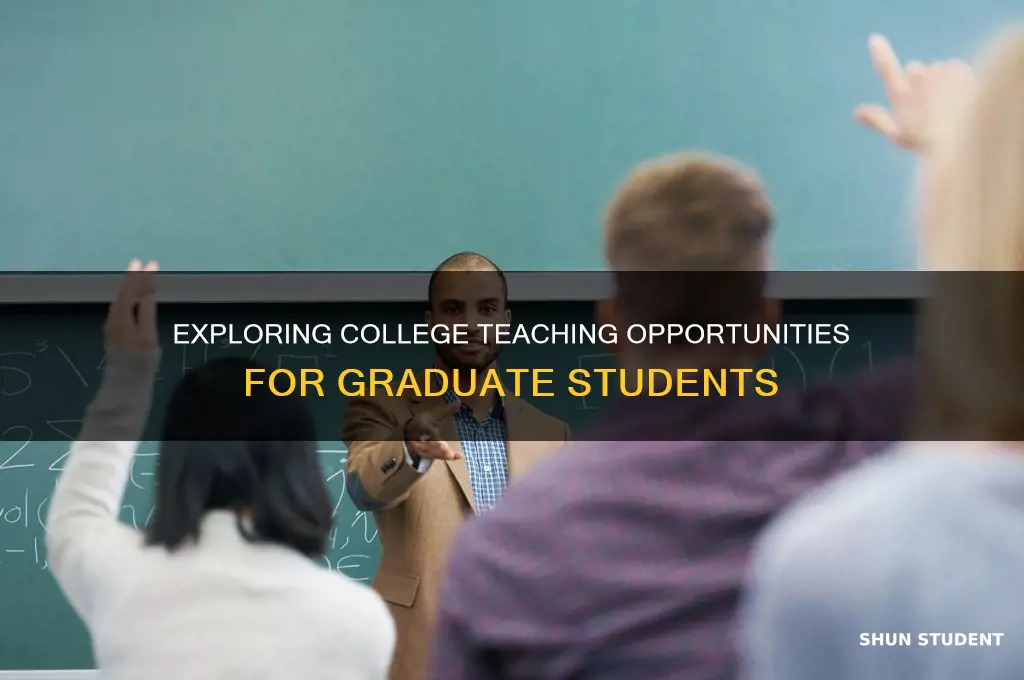 what teaching jobs can grad students get in college