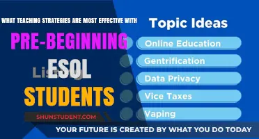 Effective Teaching Strategies for Pre-Beginning ESOL Learners: A Guide