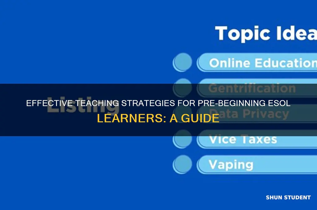 what teaching strategies are most effective with pre-beginning esol students