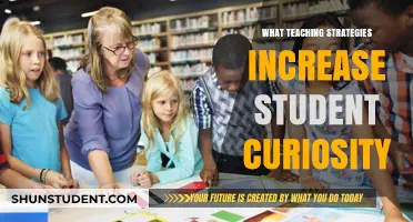 Sparking Student Curiosity: Effective Teaching Strategies for Engaging Learners