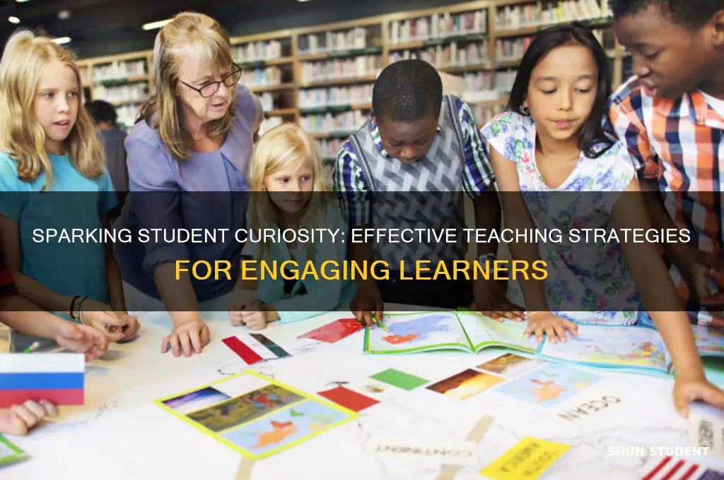 what teaching strategies increase student curiosity