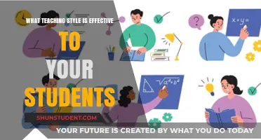 Effective Teaching Styles: Unlocking Student Potential and Engagement in Classrooms