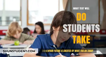 Essential Exams: What Tests Will Students Take in School?