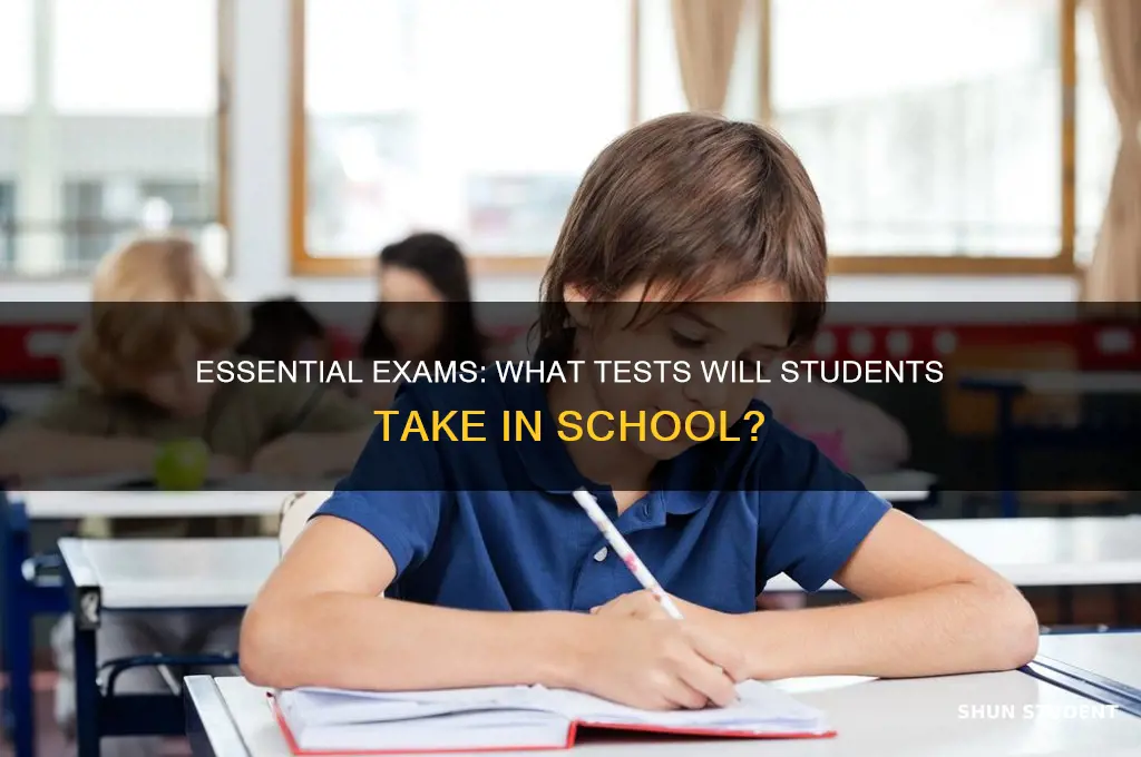 what test will do students take