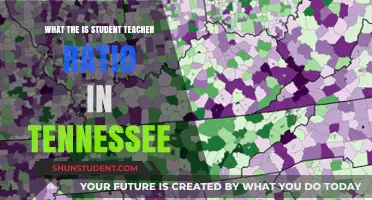 Understanding Tennessee's Student-Teacher Ratio: Impact and Implications