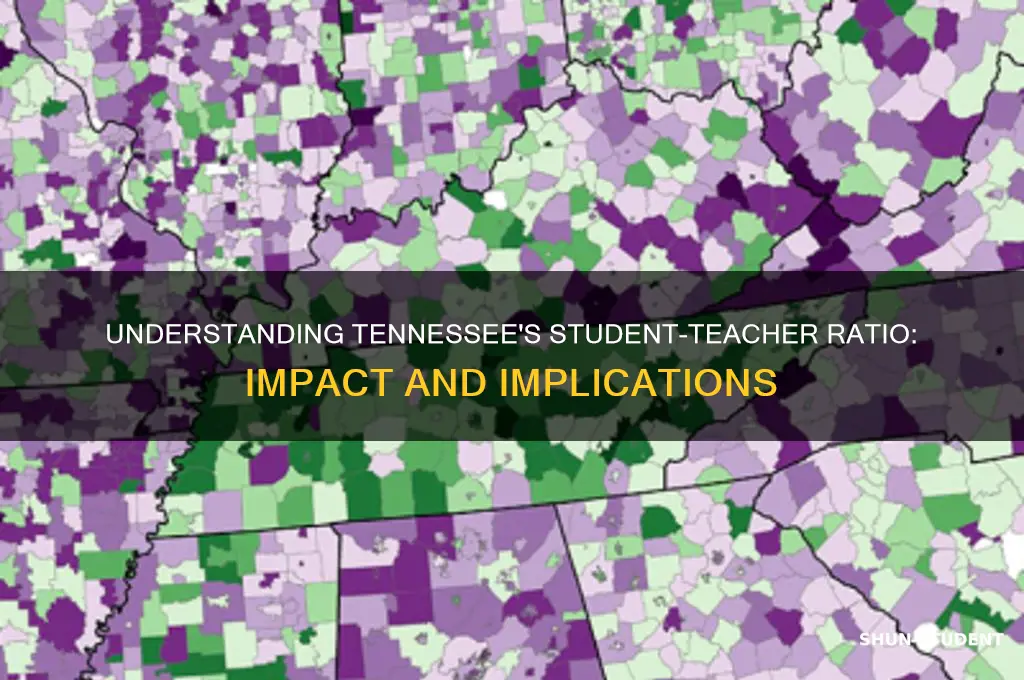 what the is student teacher ratio in tennessee