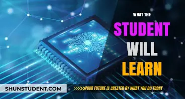 Unlocking Knowledge: What Students Will Learn in This Course