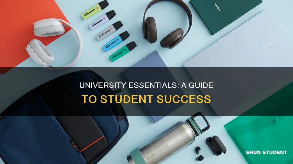 what things do university students need