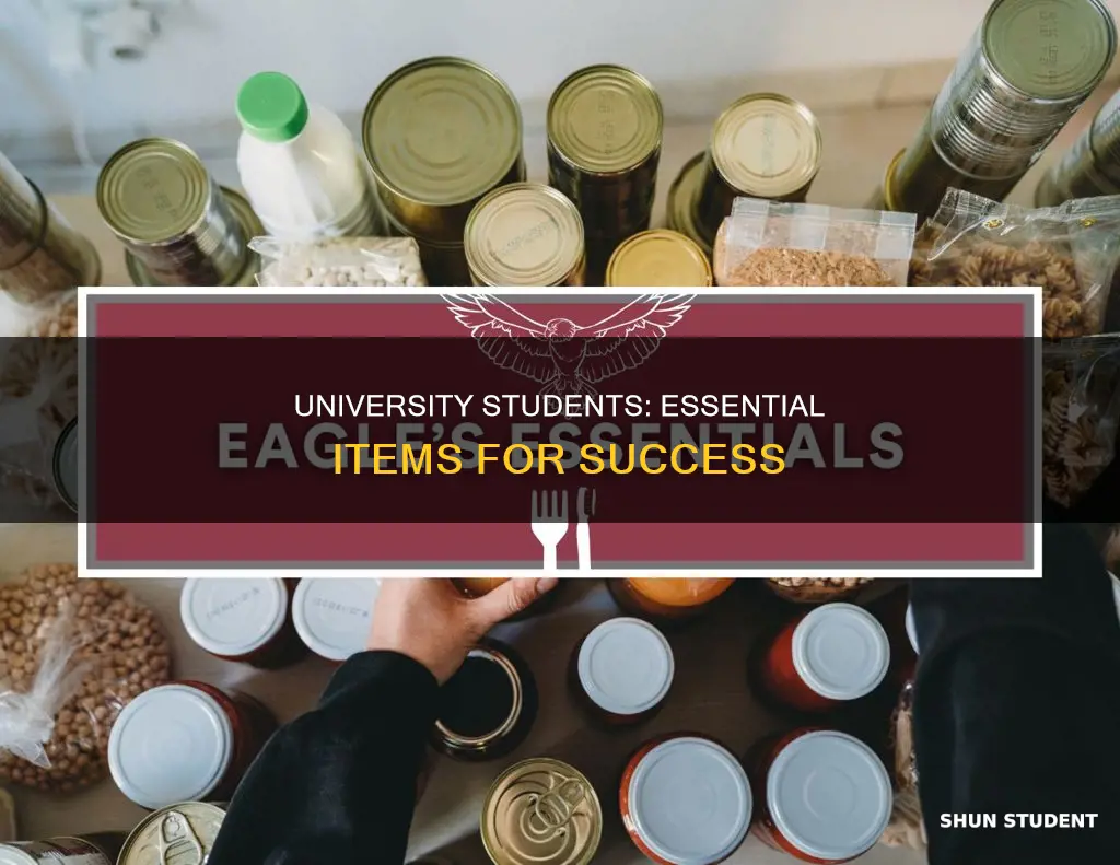 what things do university students need
