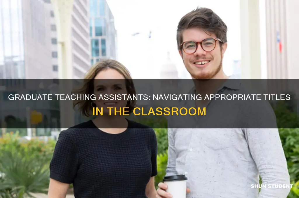what title should graduate students use when teaching
