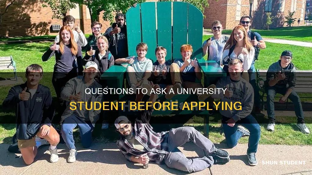 what to ask a university student