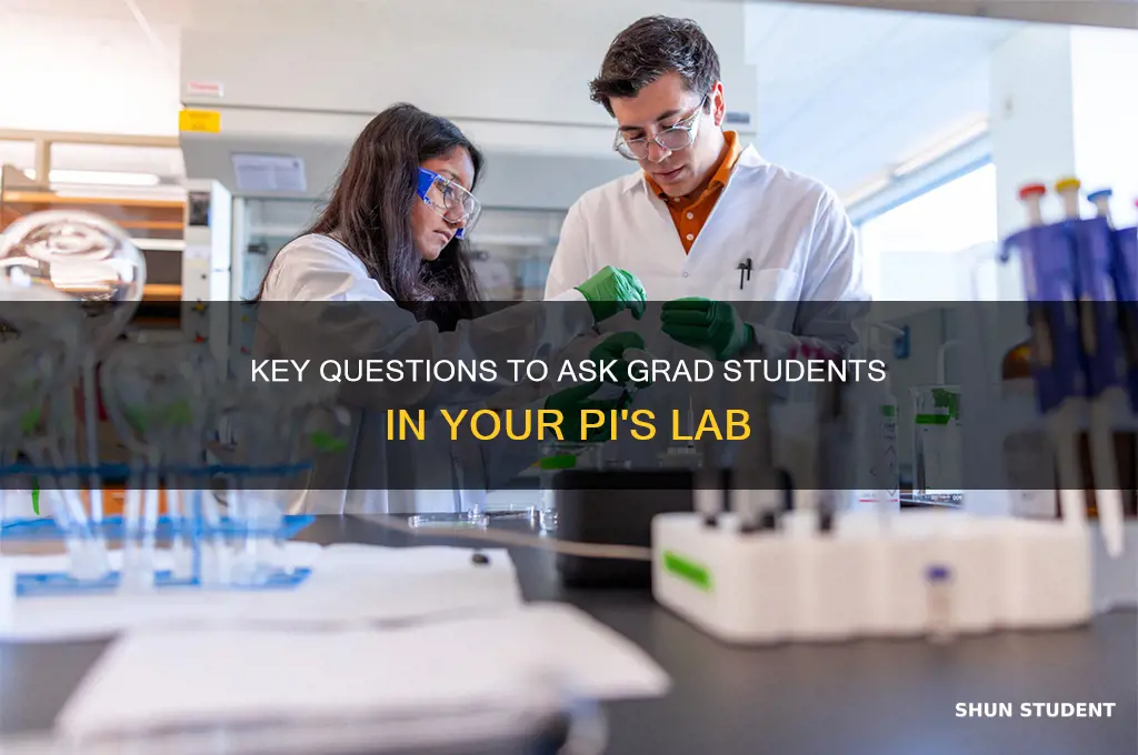 what to ask grad students in lab of interested pi