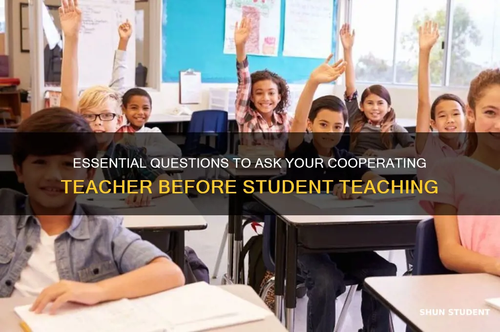what to ask your cooperating teacher before student teaching