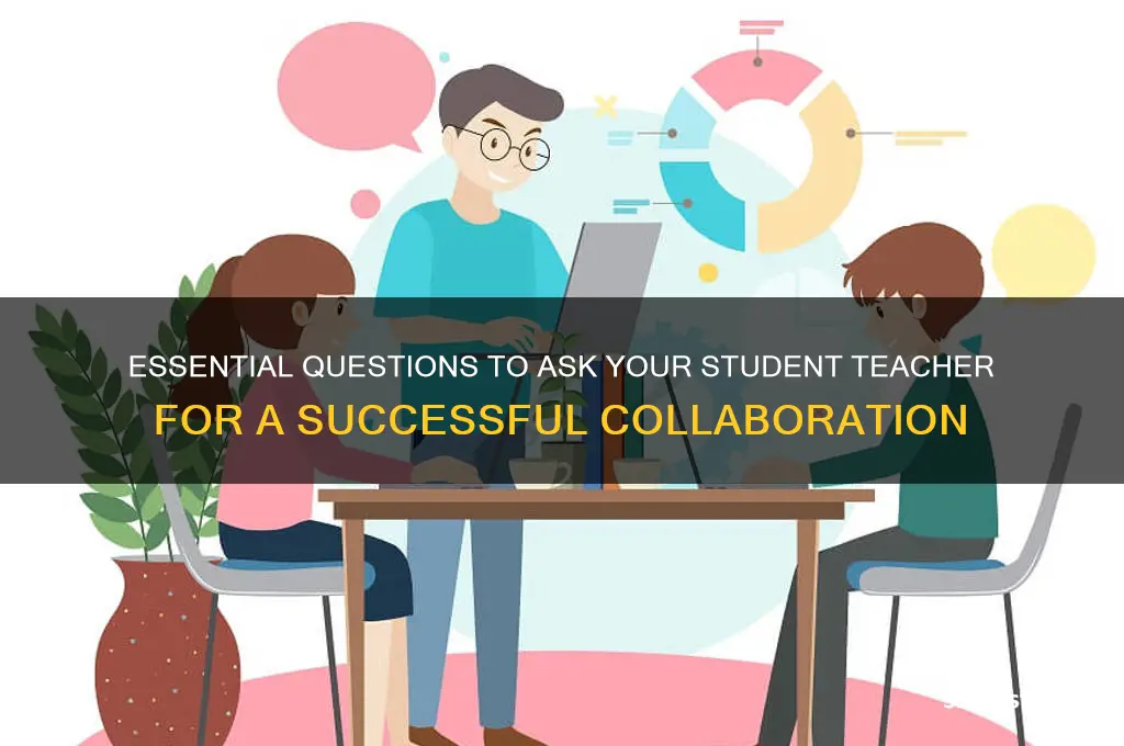 what to ask your student teacher