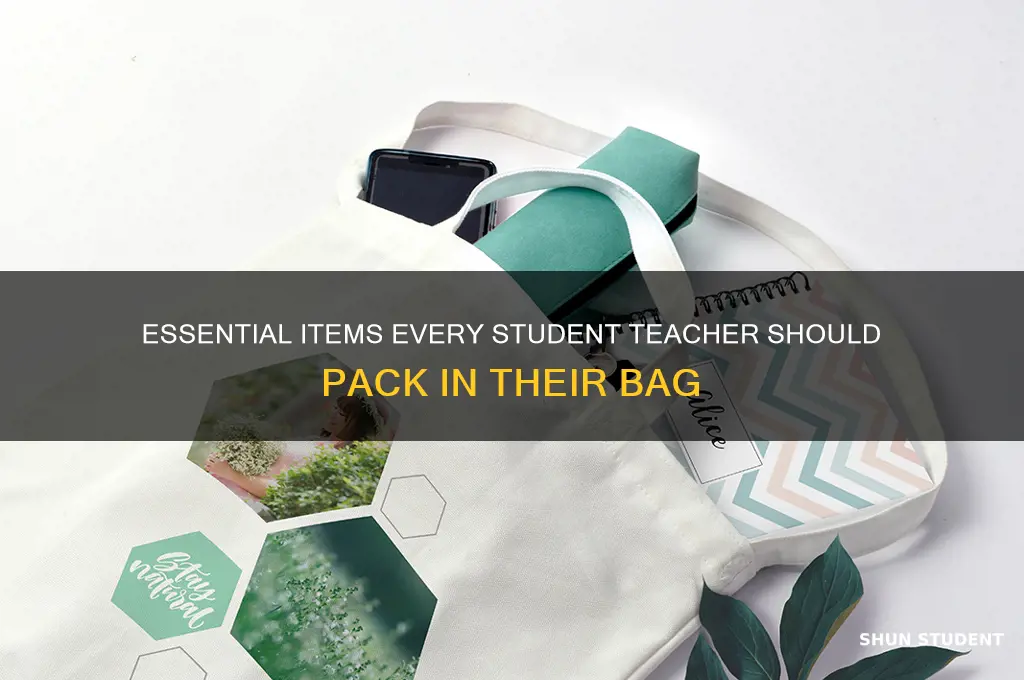 what to bring in a student teaching bag