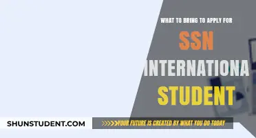 Essential Items for International Students Applying for an SSN