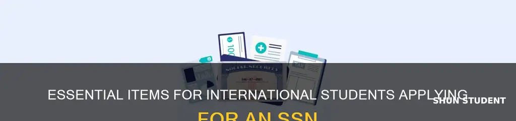 what to bring to apply for ssn international student