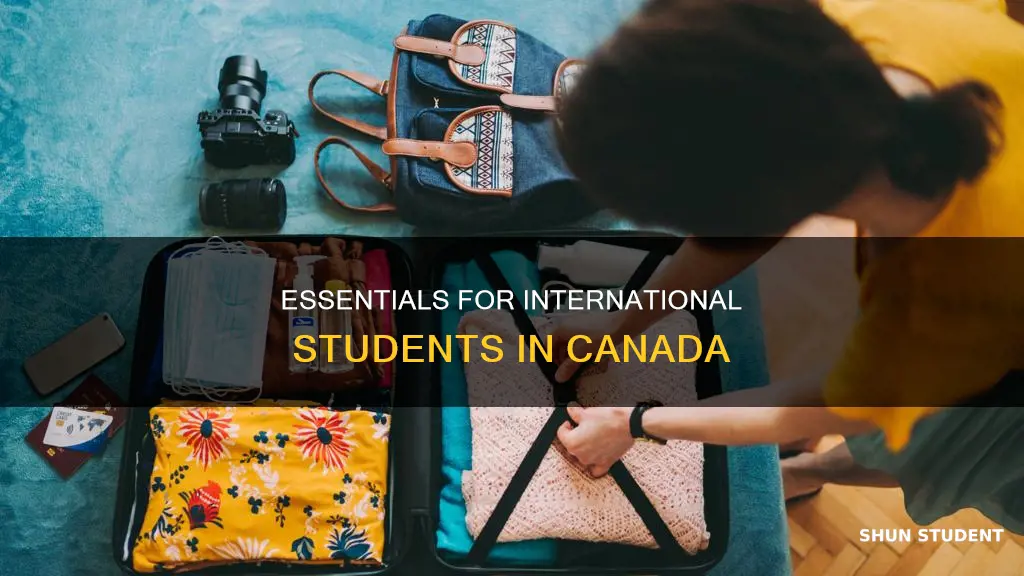 what to bring to canada as an international student