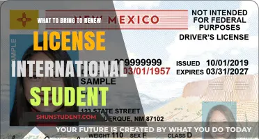 Essential Items: Renewing Your License as an International Student