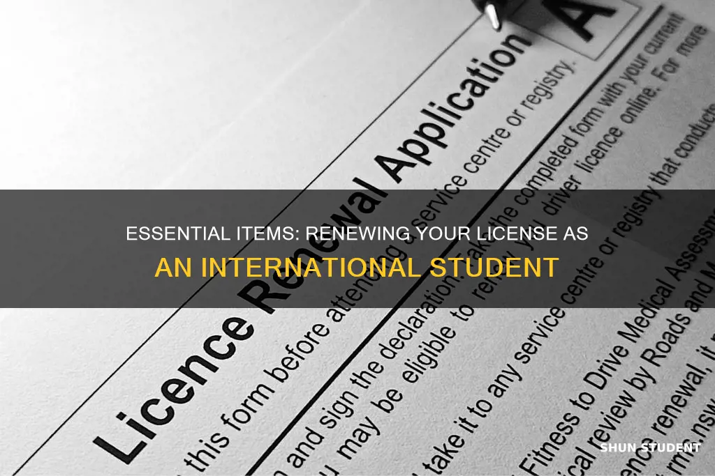what to bring to renew license international student