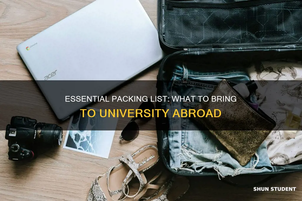 what to bring to university as an international student