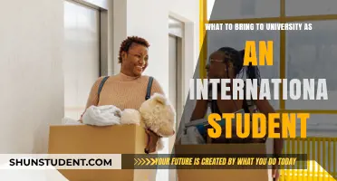 Essentials for International Students Starting University