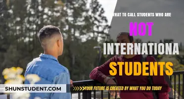 Understanding the Label of Domestic Students