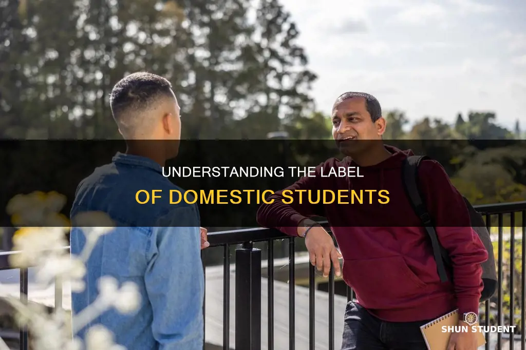 what to call students who are not international students