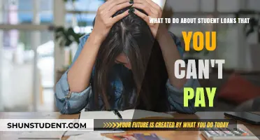 Student Loan Crisis: What Are Your Options?