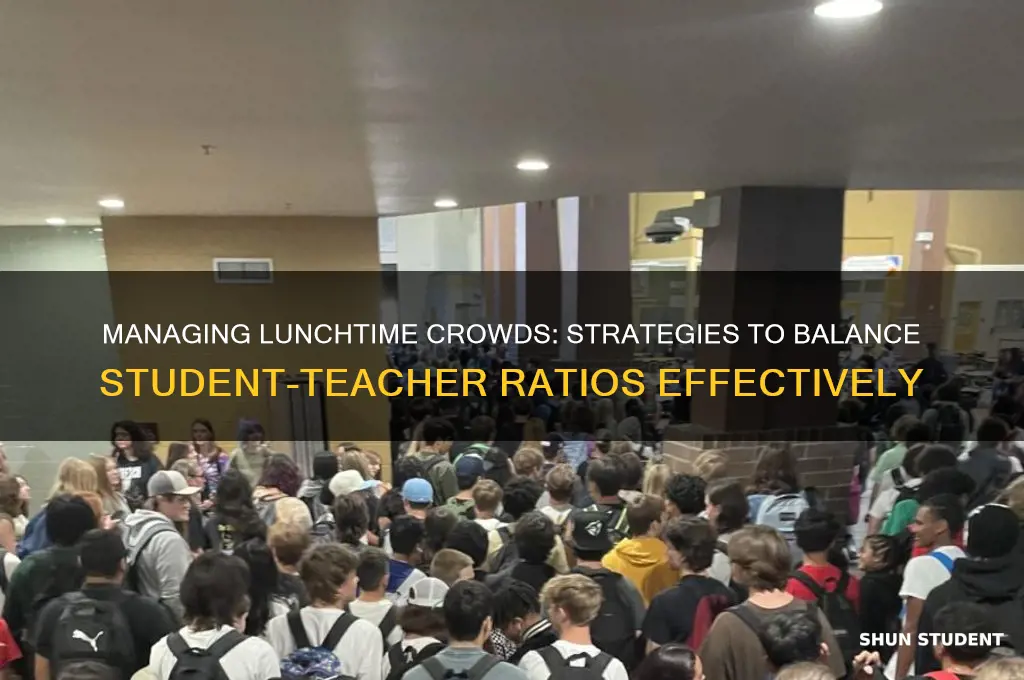 what to do about student teacher ratio at lunchtime